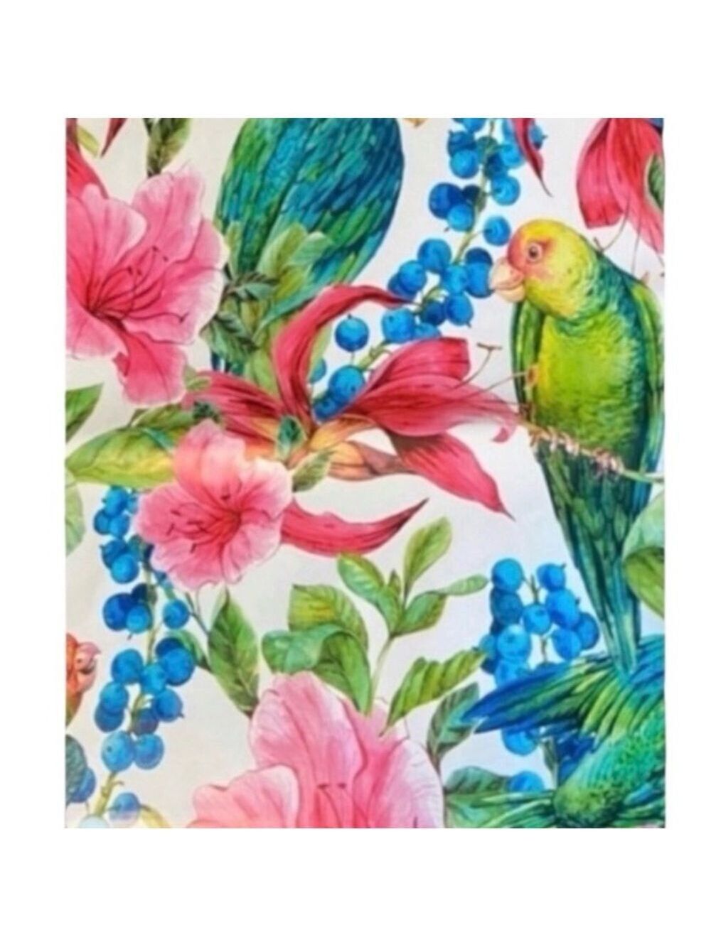 25 10x13 Jungle Poly Mailers Variety Bundle - Picture 7 of 7